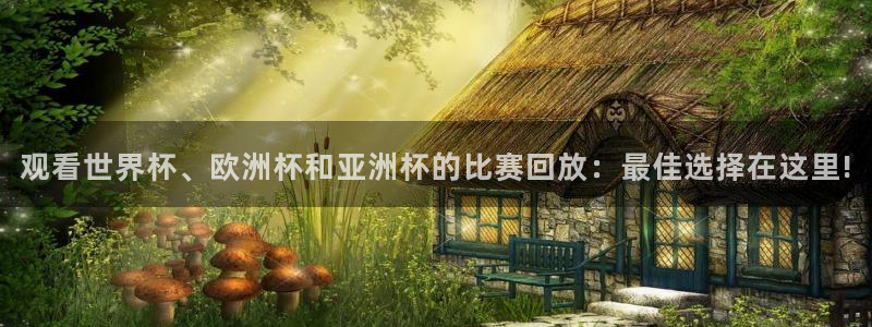  观看世界杯、欧洲杯和亚洲杯的比赛回放：最佳选择在这里!