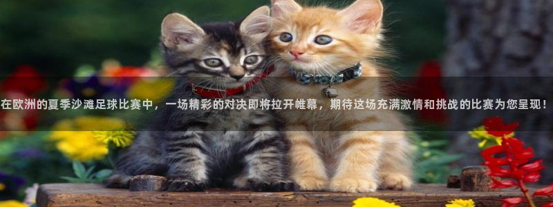  在欧洲的夏季沙滩足球比赛中，一场精彩的对决即将拉开帷幕，期待