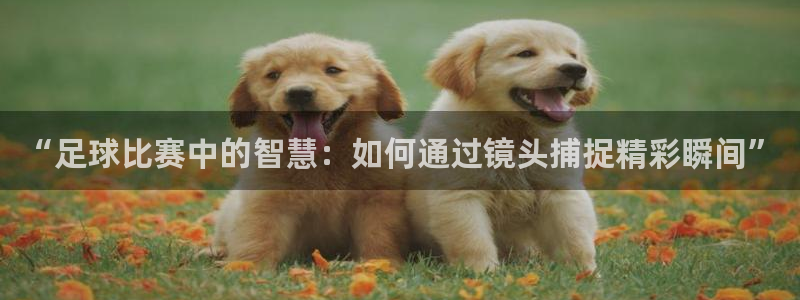 “足球比赛中的智慧：如何通过镜头捕捉