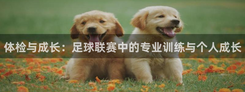 体检与成长：足球联赛中的专业训练与个人成长