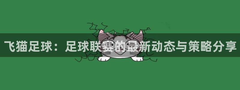  飞猫足球：足球联赛的最新动态与策略分享