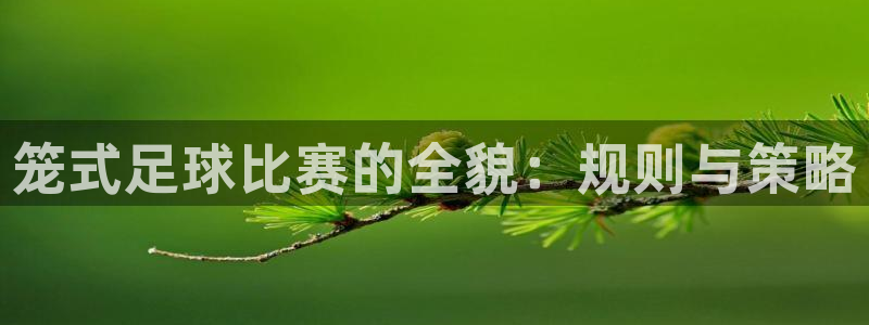笼式足球比赛的全貌：规则与策略