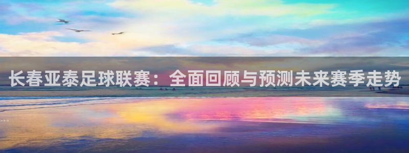 长春亚泰足球联赛：全面回顾与预测未来赛季走势