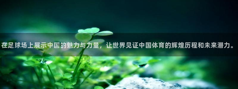 在足球场上展示中国的魅力与力量，让世界见证中国体育的辉煌历程