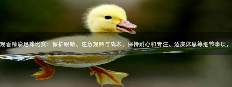  观看精彩足球比赛：保护眼睛、注意规则与战术、保持耐心和专注、