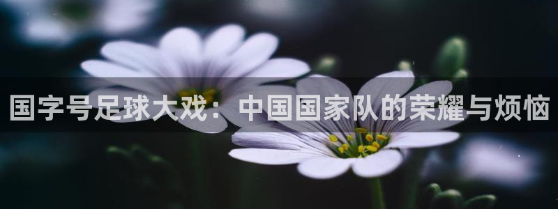 国字号足球大戏：中国国家队的荣耀与烦恼