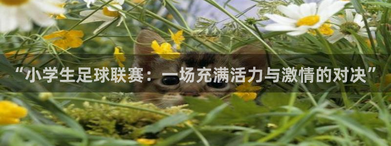  “小学生足球联赛：一场充满活力与激情的对决”