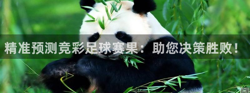 精准预测竞彩足球赛果：助您决策胜败！