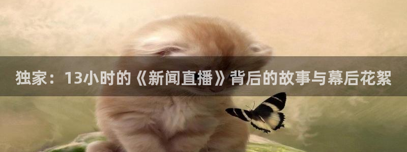 新闻图片