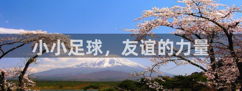 小小足球，友谊的力量