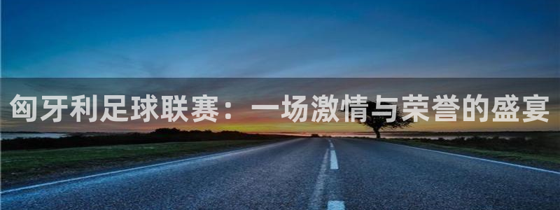 匈牙利足球联赛：一场激情与荣誉的盛宴