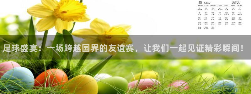 足球盛宴：一场跨越国界的友谊赛，让我