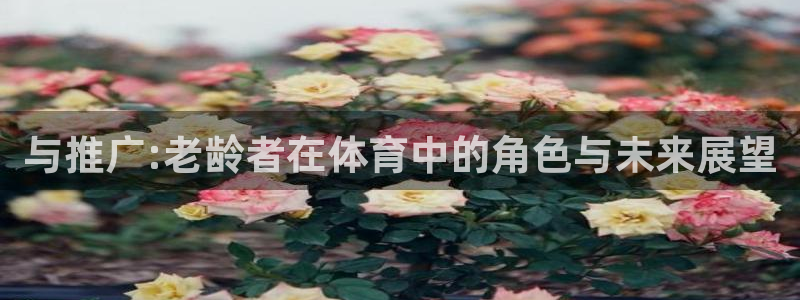 与推广:老龄者在体育中的角色与未来展