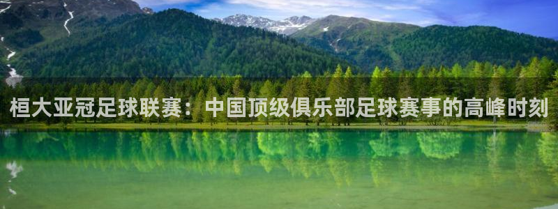 桓大亚冠足球联赛：中国顶级俱乐部足球