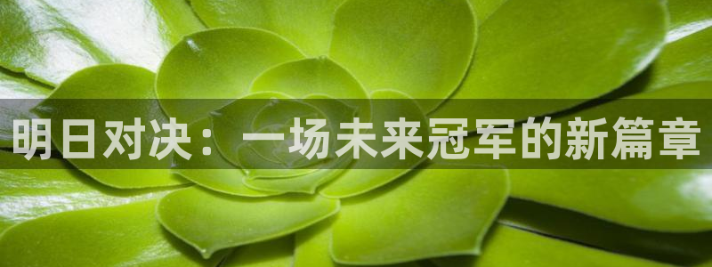 明日对决：一场未来冠军的新篇章