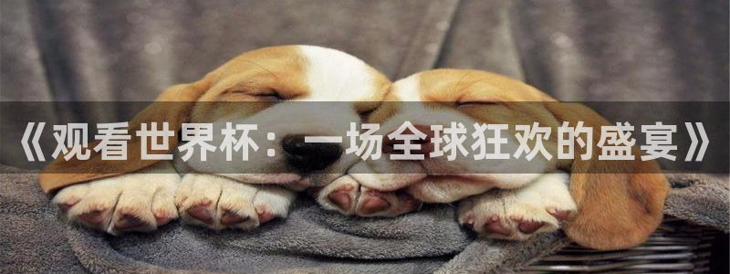 《观看世界杯：一场全球狂欢的盛宴》