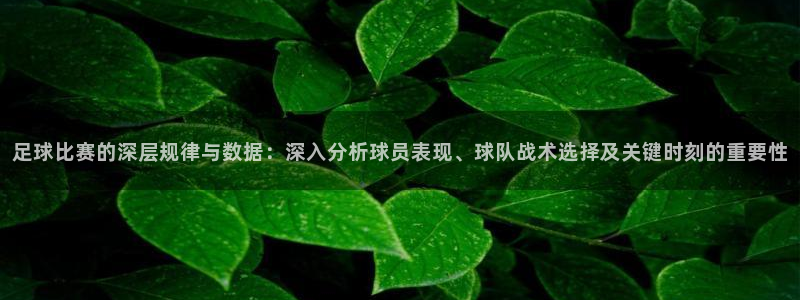 足球比赛的深层规律与数据：深入分析球
