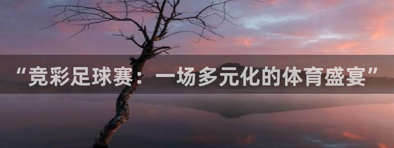 “竞彩足球赛：一场多元化的体育盛宴”