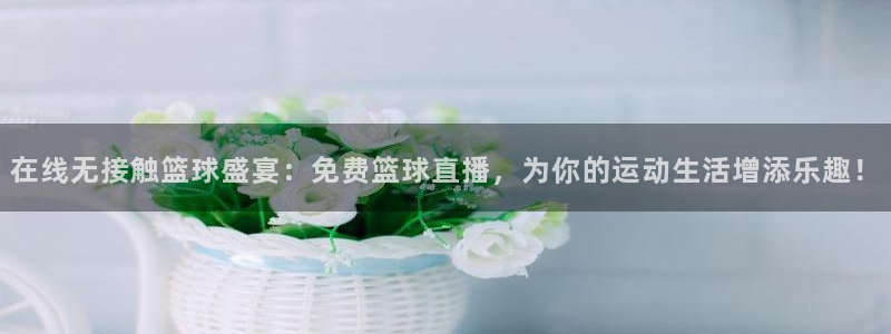 球神直播：在线无接触篮球盛宴：免费篮球直播，为你的运动生活增添乐趣！