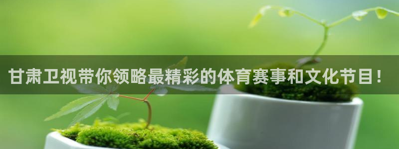 球神直播免费足球直播：甘肃卫视带你领略最精彩的体育赛事和文化节目！