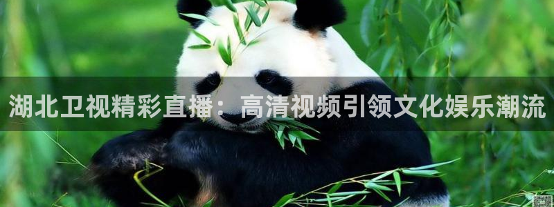 球神直播免费足球直播：湖北卫视精彩直播：高清视频引领文化娱乐潮流